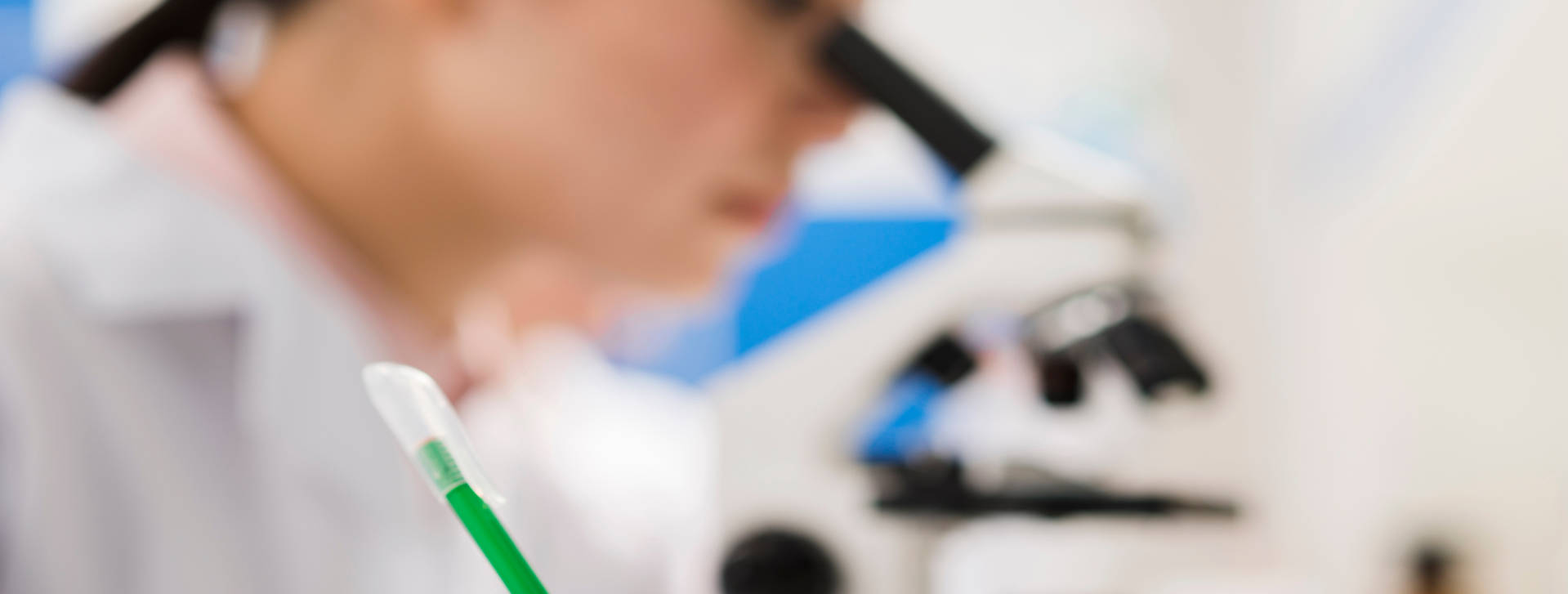 Actividades de Investigación